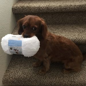 Meet your Posher, Lisa